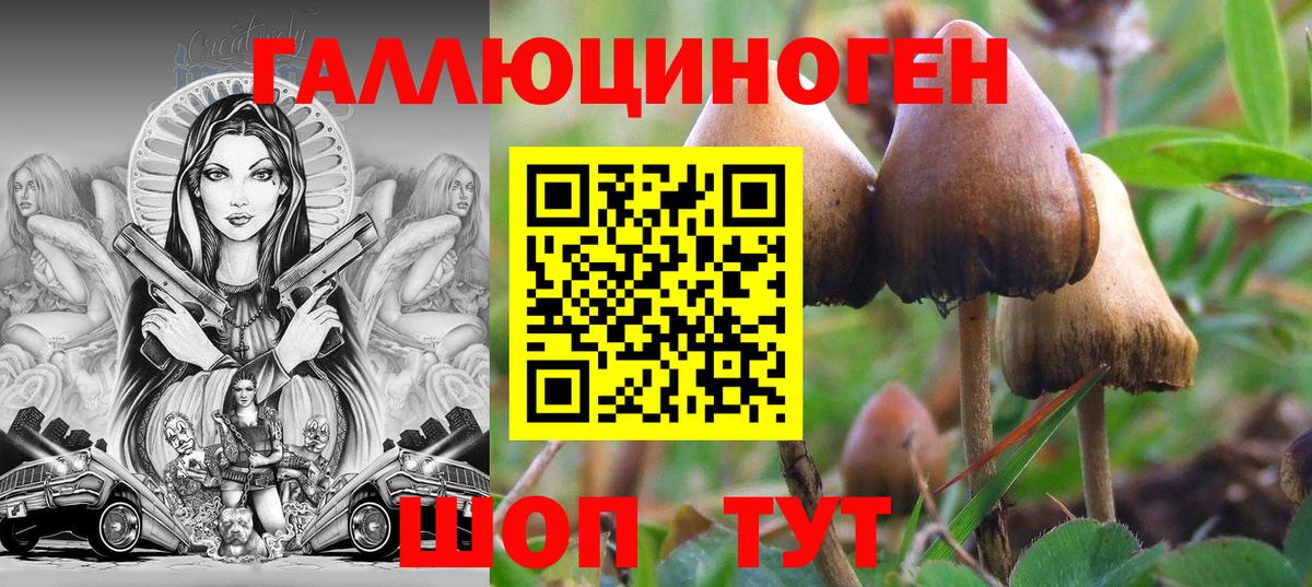 Галлюциногенные грибы Cubensis  Галлюциногенные грибы мухоморы  Вход с VPN  Рославль 
